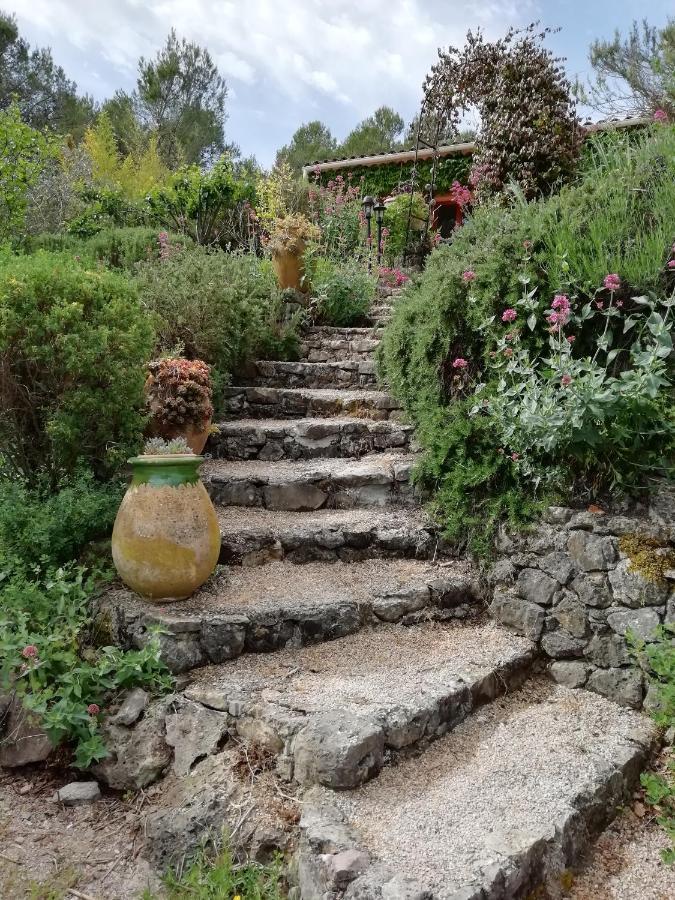 Chambre D'Hote Le Mas Des Romarins Les Arcs-sur-Argens Exteriér fotografie