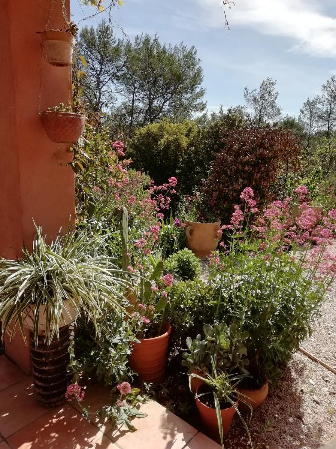 Chambre D'Hote Le Mas Des Romarins Les Arcs-sur-Argens Exteriér fotografie